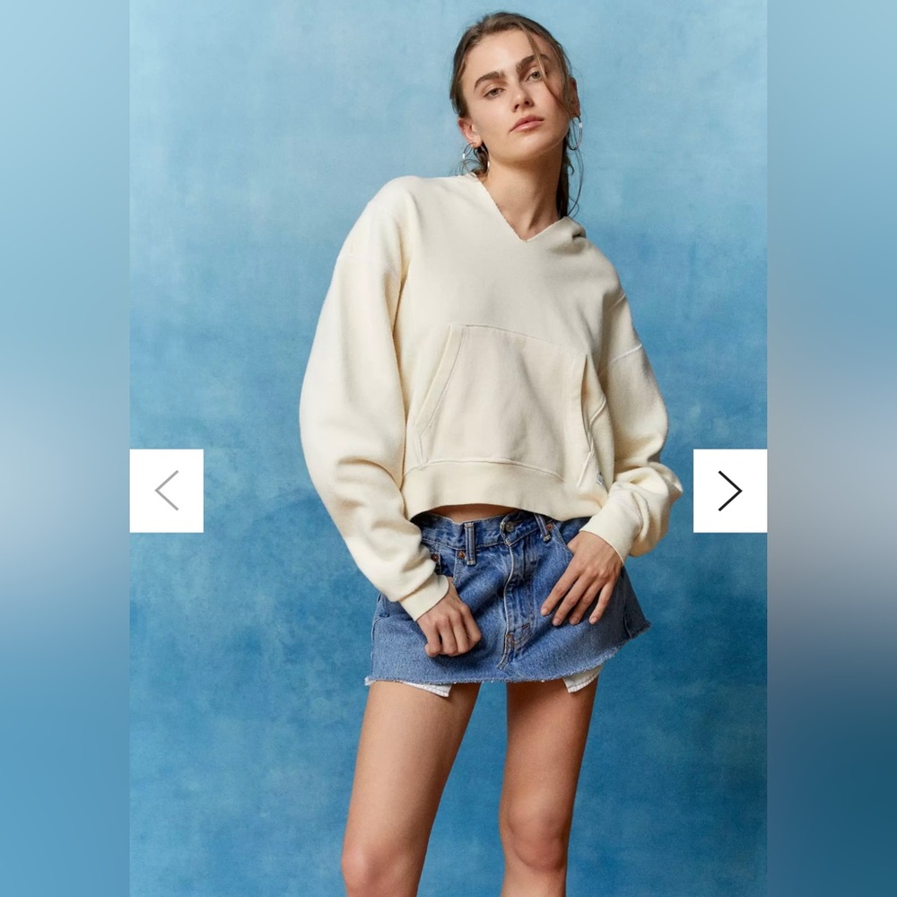 Urban Outfitters BDG Rays Hoodie Sweatshirt